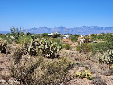 Catalina Mountains