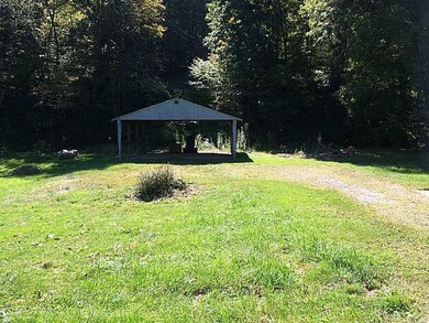 Yard/Garden.