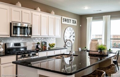 10706 Davis Farms, San Antonio, TX 78254 - photo 5