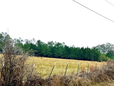 7126 Patrick Rd, Citronelle, AL 36522 - photo 3