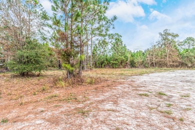 13121 NE 235th Ct, Raiford, FL 32083 - photo 6