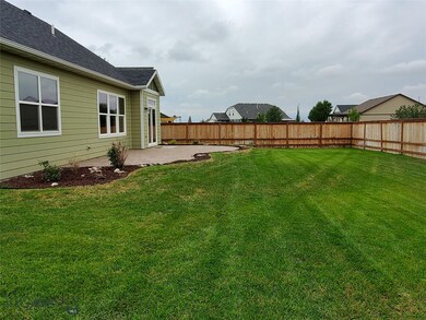 Back Yard looking North.