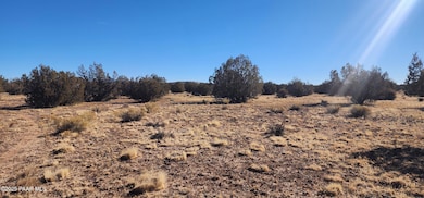 251 Se4 Juniperwood Ranch, Ash Fork, AZ 86320 - photo 5