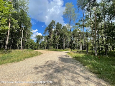 Lot 1a Rachael Fairfax Dr, Lansing, MI 48906 - photo 5