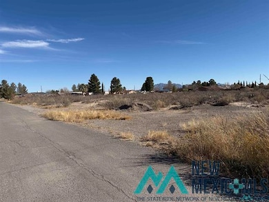 1-24 S Slate & Holly St, Deming, NM 88030 - photo 3