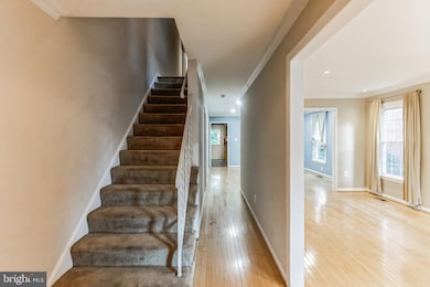 20 E Howell Ave unit A, Alexandria, VA 22301 - photo 3