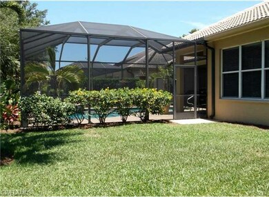 Back Yard Area