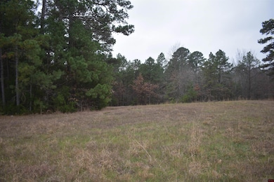 010-11219-038 Swiss Alps Ln, Briarcliff, AR 72653 - photo 3