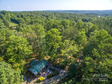 142 County Line Rd S, Rutherfordton, NC 28139 - photo 4