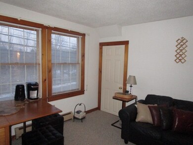32 Pond St unit 5, Ludlow, VT 05149 - photo 5