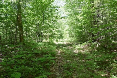 20230719234315810006000000-o