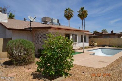 Rear Yard