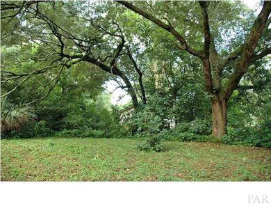Many large oak trees