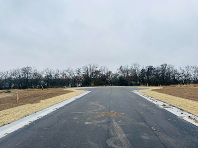 721 W Goldfinch Ct, Andover, KS 67002 - photo 2