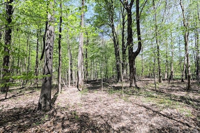 59371 4th Ave Lot unit WP001, Grand Junction, MI 49056 - photo 5