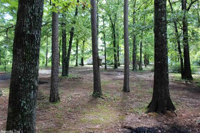 35 Riverland Cr, Heber Springs, AR 72543 - photo 3