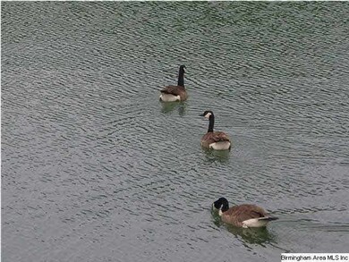 Lacey's Grove residents