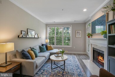 2330 14th St N unit 301, Arlington, VA 22201 - photo 6