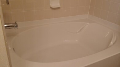 Garden Tub in Master