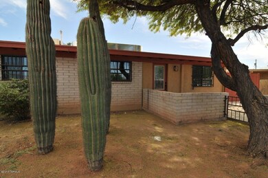 3 Saguaros in Front Yard