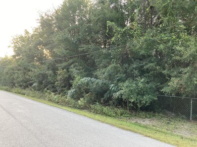 0 Estelle Dr, Crawfordville, FL 32327 - photo 2