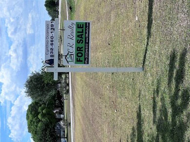 10214 Harry Dr, Needville, TX 77461 - photo 3