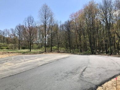 0 Backwater Dr - Parcel 6 unit 20031426, Hastings, MI 49058 - photo 2