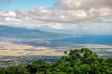 17100 Haleakala Hwy, Kula, HI 96790 - photo 6