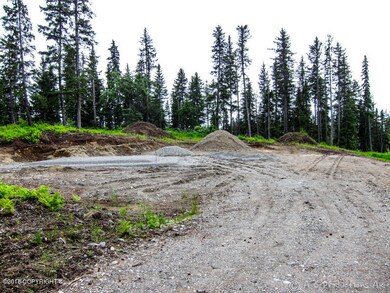 Driveway in