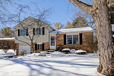 7383ColdstreamDrive_4
