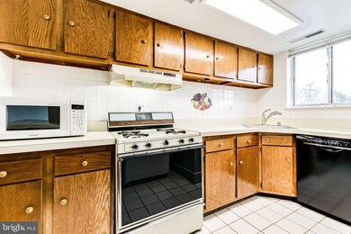 3710 N Rosser St unit 204, Alexandria, VA 22311 - photo 4