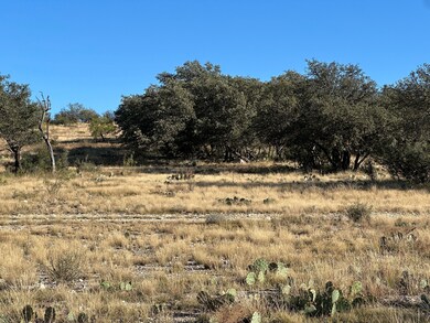 9288 Sutton County Road 406, Sonora, TX 76950 - photo 5