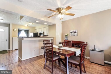 252 Maple Wreath Ct, Abingdon, MD 21009 - photo 6