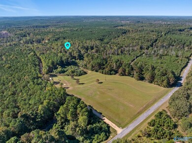 29.1 acres W County Highway 73, Hamilton, AL 35570 - photo 6
