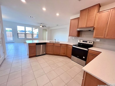 5275 Wolf Bane Dr, San Antonio, TX 78261 - photo 2