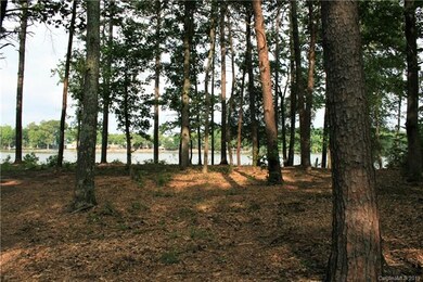 1548 Reflection Pointe Blvd unit 253, Belmont, NC 28012 - photo 2