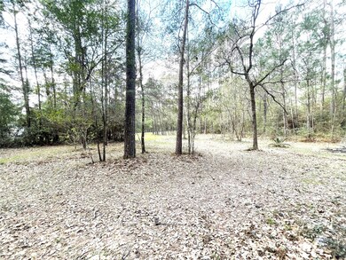 0000 Little John Cir, Hockley, TX 77447 - photo 2