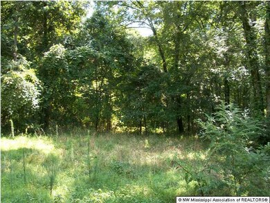 unlisted-address, Hernando, MS 38632 - photo 5
