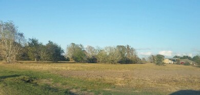 PR 518 Meadow Lark Ln, Bay City, TX 77414 - photo 5