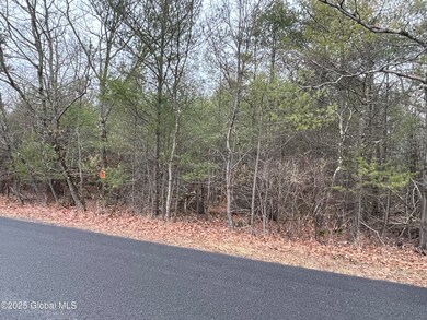 L18.2 Old Kings Rd, New Baltimore, NY 12087 - photo 6