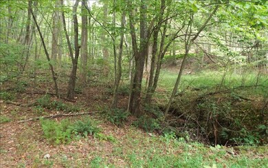 Additional View