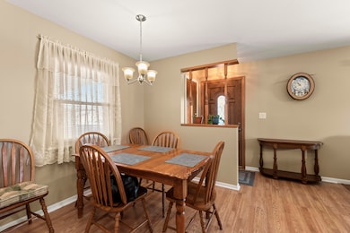 483 Park Ave, Lincoln Park, MI 48146 - photo 7