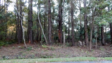 0 Rosedale Ln unit 800887, Jacksonville, FL 32244 - photo 4