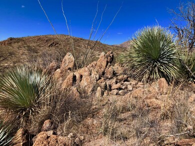 61 Salida Springs Way (23)