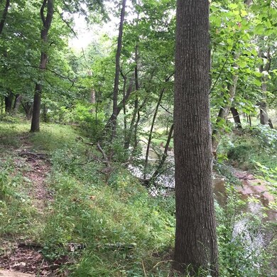 trail along Otter Creek