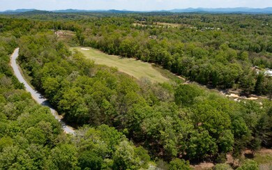 LT83 Old Toccoa Farm, Mineral Bluff, GA 30559 - photo 4
