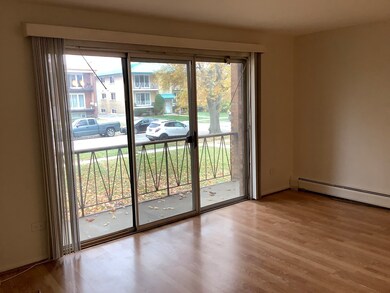 10402 S Moody Ave unit 1S, Palos Heights, IL 60463 - photo 6