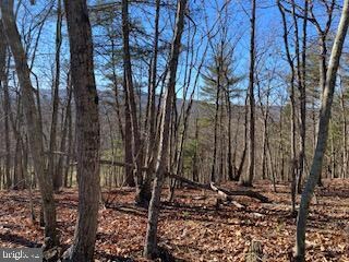 0 Christian Church Rd unit WVHS2000982, High View, WV 26808 - photo 6