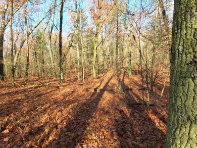 V/L Woodland Park Lots 5 To 9, Bitely, MI 49309 - photo 5