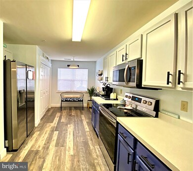 30381 Crowley Dr unit 307, Ocean View, DE 19970 - photo 6